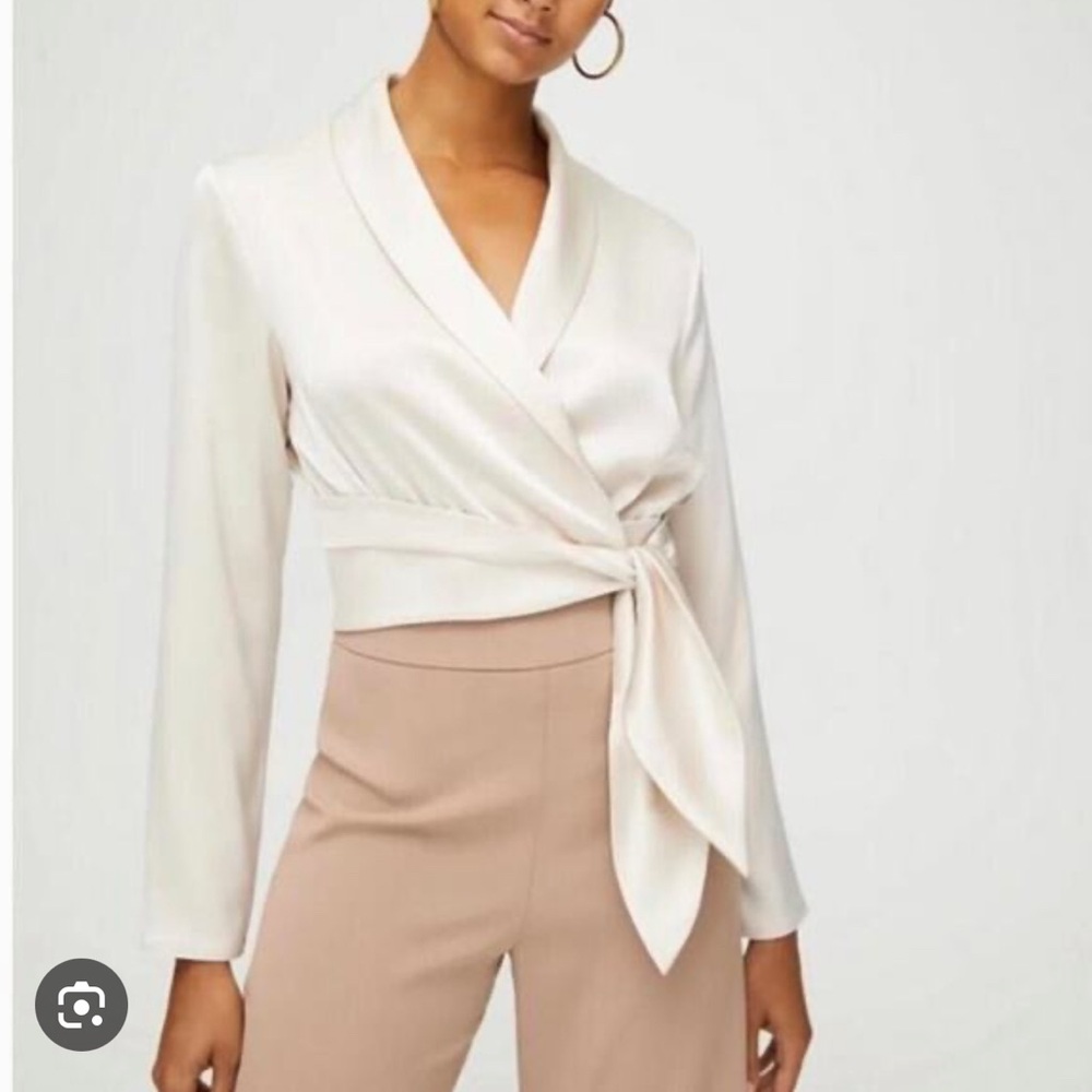 Aritzia Babaton Davis Blouse in Petal